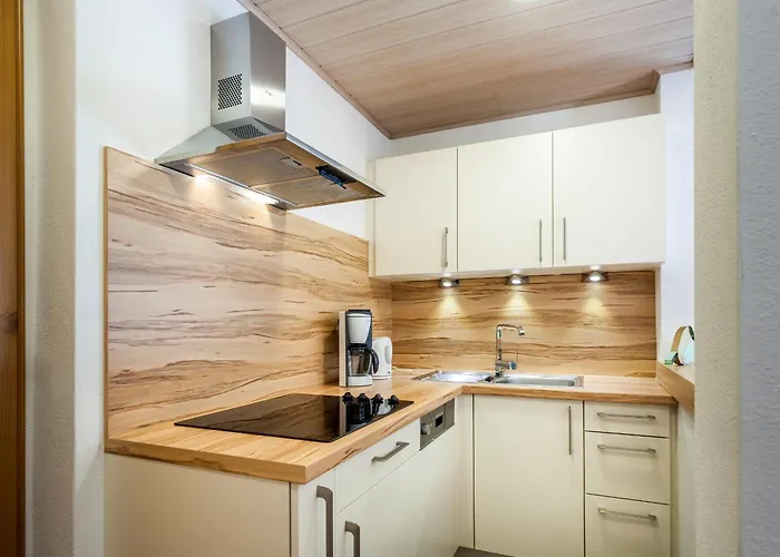 Haus Windegg 3* 图克斯